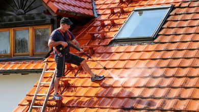 roof-cleaning-101:-everything-you-need-to-know