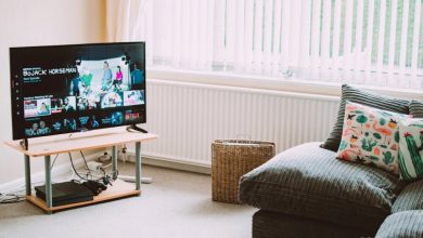 iptv-sweden-services-providing-access-to-swedish-and-international-tv-channels